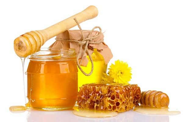 تصویر 1 از قیمت خرید عسل آویشن کوهی + فروش ویژه